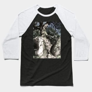 Tree on the rock Baseball T-Shirt